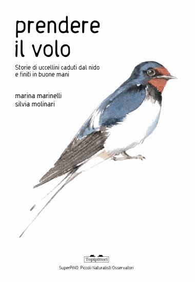 Come Nutrire Un Uccellino Caduto Dal Nido